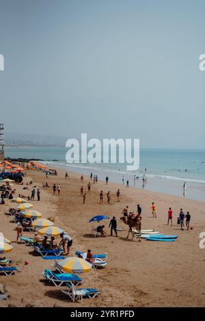 Surf e cammello a Taghazout Beach, Marocco Foto Stock