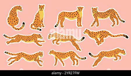 Set di icone gatti selvatici. Diversi tipi di ghepardi selvatici. Illustrazione vettoriale per stampe, indumenti per bambini, confezioni, adesivi. Illustrazione Vettoriale