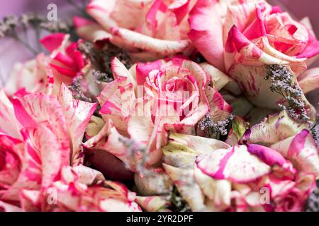 Questa immagine mostra una splendida vista ravvicinata di un bouquet splendidamente organizzato caratterizzato da delicate rose rosa e bianche incontaminate Foto Stock