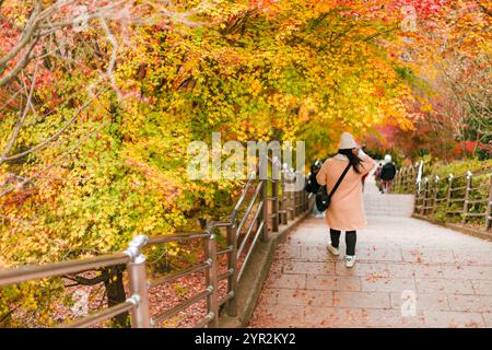 Foglie d'acero, colori autunnali in Giappone, stagione autunnale del fogliame Foto Stock