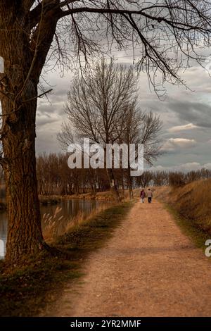 Coppia che cammina attraverso una foresta autunnale sul fiume Foto Stock