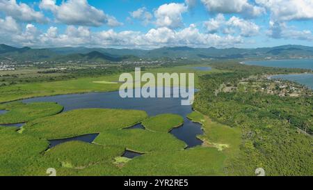 Rovine di Aguadilla in stile contemporaneo vicino al mare a Puerto Rico, con vista sulla spiaggia, il paesaggio dell'oceano e un cane sulla riva Foto Stock