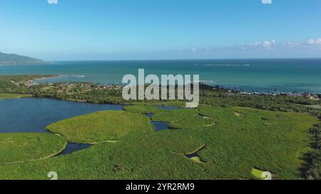 Rovine di Aguadilla in stile contemporaneo vicino al mare a Puerto Rico, con vista sulla spiaggia, il paesaggio dell'oceano e un cane sulla riva Foto Stock