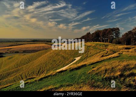 Luce solare serale sul cavallo bianco a Cherhill Hill (Oldbury Castle), Wiltshire. Foto Stock