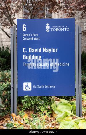 C. David Naylor, insegna della facoltà di medicina presso l'Università di Toronto, nel centro di Toronto, Ontario, Canada Foto Stock