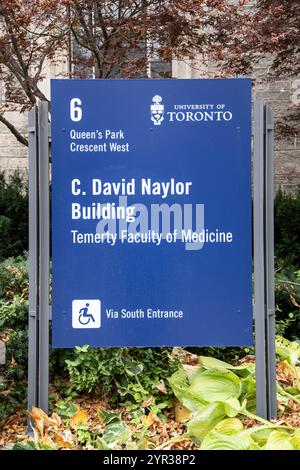 C. David Naylor, insegna della facoltà di medicina presso l'Università di Toronto, nel centro di Toronto, Ontario, Canada Foto Stock