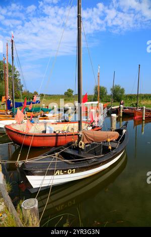 Germania, costa del Mar Baltico, Meclemburgo-Pomerania, Darss, Wustrow, Boote im Hafen von Altenhagen Foto Stock