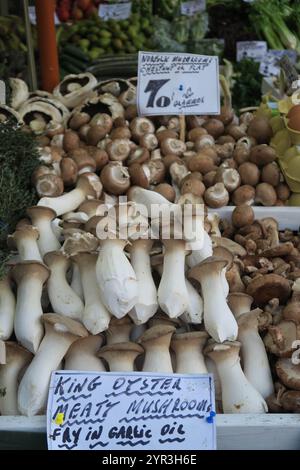 Vari funghi in vendita al mercato di Norwich Foto Stock