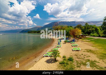 Lettini e ombrelloni verdi popolano la spiaggia sabbiosa del lago di Ocrida, con acque cristalline che lambiscono dolcemente la riva sotto un cielo estivo luminoso Foto Stock