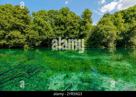 Black Drin sorge nel Lago di Ohrid, Macedonia del Nord, con acque cristalline, circondate da una vegetazione vivace e dal fascino sotto un radioso cielo estivo Foto Stock