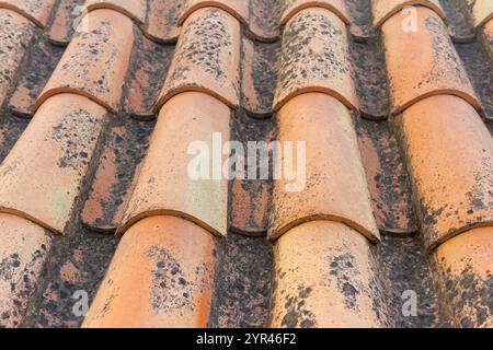 Un primo piano di un tetto in terracotta mette in mostra le piastrelle in ceramica artigianali che gli conferiscono un aspetto caldo e terroso. Foto Stock