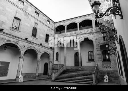 Il Palazzo Salina è un edificio costruito in stile plateresco con elementi italiani, costruito nel 1538, a Salamanca, Spagna. Foto Stock