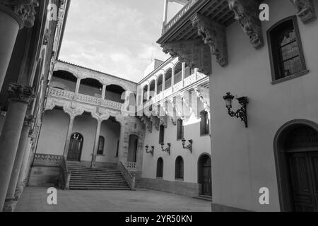 Il Palazzo Salina è un edificio costruito in stile plateresco con elementi italiani, costruito nel 1538, a Salamanca, Spagna. Foto Stock