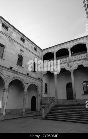 Il Palazzo Salina è un edificio costruito in stile plateresco con elementi italiani, costruito nel 1538, a Salamanca, Spagna. Foto Stock