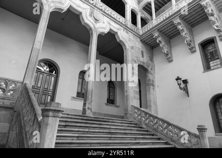 Il Palazzo Salina è un edificio costruito in stile plateresco con elementi italiani, costruito nel 1538, a Salamanca, Spagna. Foto Stock