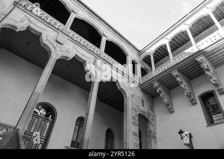 Il Palazzo Salina è un edificio costruito in stile plateresco con elementi italiani, costruito nel 1538, a Salamanca, Spagna. Foto Stock