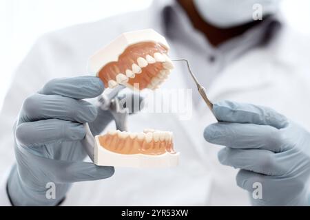 Dentista irriconoscibile Dottore che tiene in mano la ganascia artificiale e lo strumento dentale Foto Stock