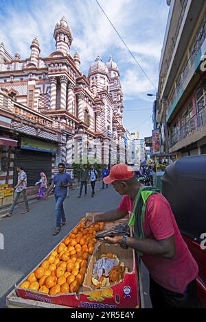 Venditori ambulanti che selezionano mandarini, dietro la Moschea Rossa Jami UL-Alfar, Colombo, Provincia Occidentale, Sri Lanka, Asia Foto Stock