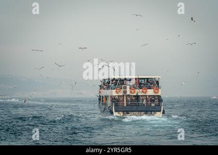 ISTANBUL, 9 GENNAIO 2022: La nave passeggeri si trova sul Bosforo a Istanbul con gabbiani che volano intorno ad essa Foto Stock