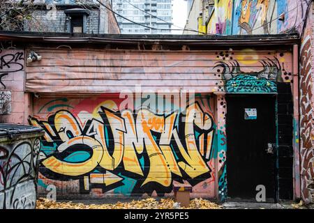Graffiti apposti sulla porta di un garage in Renfrew Place nel centro di Toronto, Ontario, Canada Foto Stock