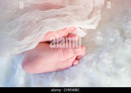 Primo piano delle dita dei neonati avvolti in tessuto morbido su una coperta accogliente Foto Stock