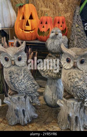 Zucche di Halloween e gufi di ceramica, negozio fai da te, Kempten, Allgaeu, Baviera, Germania, Europa Foto Stock