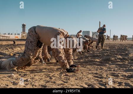 U.S. Marine Corps recluta con Lima Company, 3rd Recruit Training Battalion, giustiziare buddy drags durante un evento di addestramento al combattimento presso il Marine Corps Recruit Depot San Diego, California, 13 novembre 2024. Il corso di condizionamento del combattimento è stato progettato per aumentare la resistenza delle reclute e la capacità di eseguire tecniche del programma di arti marziali del corpo dei Marines. (Foto del corpo dei Marines degli Stati Uniti di Lance Cpl. Janell B. Alvarez) Foto Stock