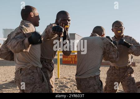 U.S. Marine Corps recluta con la Lima Company, 3rd Recruit Training Battalion, eseguire il contrattacco ai pugni a mano durante un corso di condizionamento del combattimento al Marine Corps Recruit Depot San Diego, California, 13 novembre 2024. Il corso di condizionamento del combattimento è stato progettato per aumentare la resistenza delle reclute e la capacità di eseguire tecniche del programma di arti marziali del corpo dei Marines. (Foto del corpo dei Marines degli Stati Uniti di Lance Cpl. Janell B. Alvarez) Foto Stock