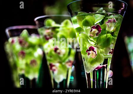 Tre bicchieri di liquido verde con fiori. Gli occhiali sono alti e sottili Foto Stock
