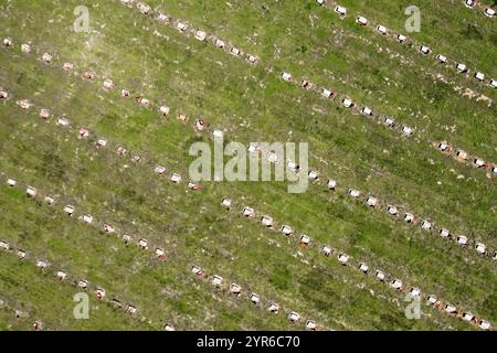 GIUGNO 2021, HIGGINSVILLE, Missouri., USA -drone view of Confederate Memorial State Historic Site, Higginsville, Missouri mostra bandiere confederate Foto Stock