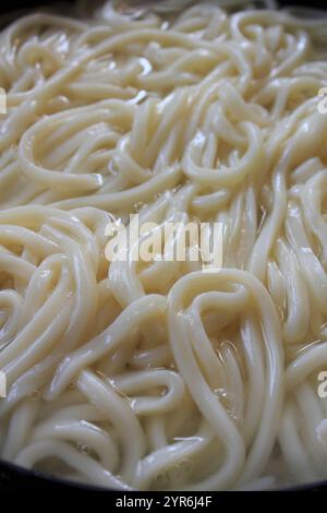 Sanuki Udon Foto Stock