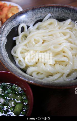 Sanuki Udon Foto Stock