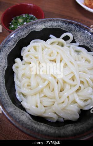 Sanuki Udon Foto Stock