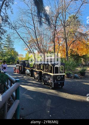 Il treno nero in miniatura attraversa un parco circondato da alberi autunnali, con le famiglie che si godono l'attività all'aperto sotto un cielo azzurro. Foto Stock