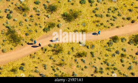Volo di escursionisti sul Desert Path a Mountain Springs, Nevada Foto Stock