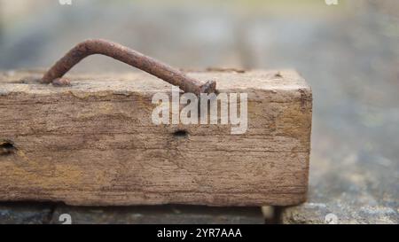 chiodo arrugginito in un pezzo di legno indurito in vista ravvicinata, il chiodo è piegato ad angolo messa a fuoco morbida con sfondo sfocato e spazio di copia Foto Stock