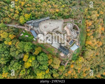 Immagine aerea dall'alto verso il basso del castello medievale di Ehrenburg con fogliame autunnale in Germania vicino al fiume Mosella Foto Stock