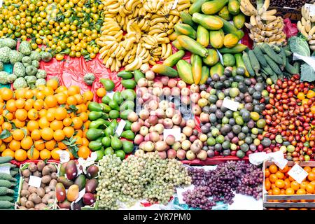 Colori vivaci e atmosfera vivace del Mercado dos Lavradores a Funchal, Madeira Foto Stock