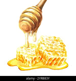 Miele dolce, favo crudo fresco con cucchiaio di legno. Illustrazione ad acquerello disegnata a mano isolata su sfondo bianco Foto Stock