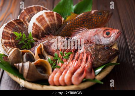 Set di pesce fresco di Hokkai Foto Stock