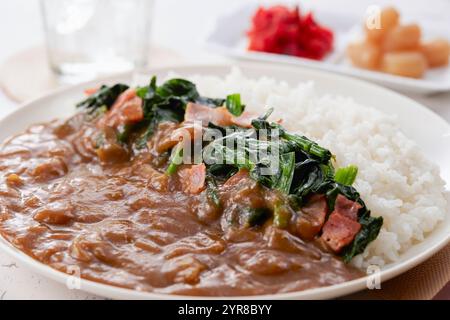 Riso al curry con condimento di spinaci Foto Stock