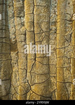 Vista dettagliata della superficie della terra incrinata con strutture e strutture robuste, che mostrano l'erosione naturale. Foto Stock