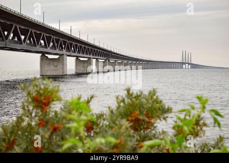 Immagine sfocata del ponte Oresund. Foto Stock
