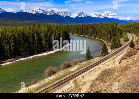 Un treno corre lungo un fiume con montagne sullo sfondo. La scena è tranquilla e serena, con il treno che passa attraverso una lussureggiante fores verde Foto Stock