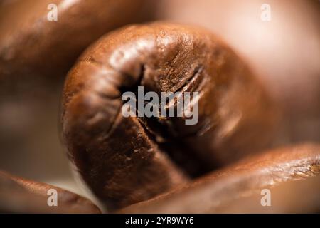 Caffè macinato su sfondo bianco - minimalismo e dettagli Foto Stock