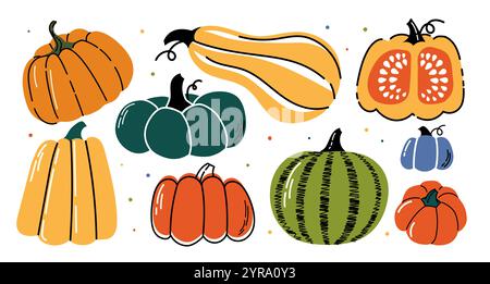 Set di zucche. Verdure arancioni, gialle e verdi. Prodotti naturali e biologici per l'autunno e l'autunno. Raccolto e raccolto. Raccolta vettoriale piatta Illustrazione Vettoriale