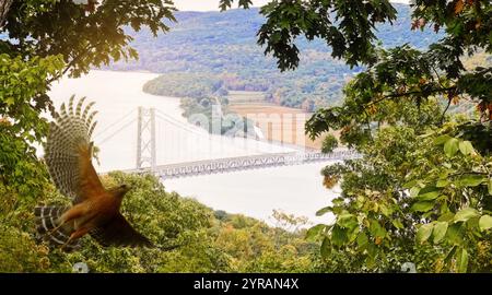 Ponte sulla valle del fiume Hudson, vista da Bear Mountain a New York. Il ponte è un'impresa notevole di ingegneria, e il volo dell'uccello aggiunge un Foto Stock
