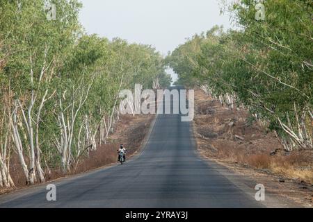 Strada rurale panoramica in Togo fiancheggiata da alberi e un motociclista in lontananza Foto Stock