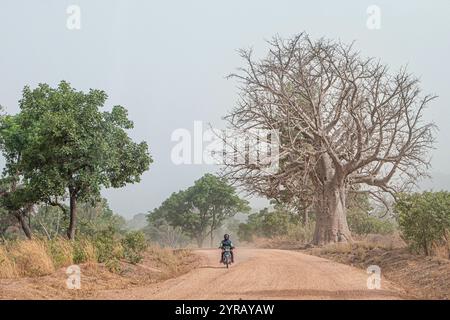 Motociclista su una strada rurale densa in Togo circondato da alberi verdi e da un paesaggio paesaggistico Foto Stock