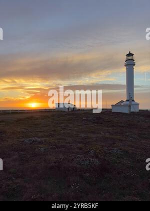 Il faro di Point Arena proietta una silhouette contro un vivace cielo al tramonto. La luce dorata crea una scena mozzafiato sull'aspra costa di Mendocino. Foto Stock